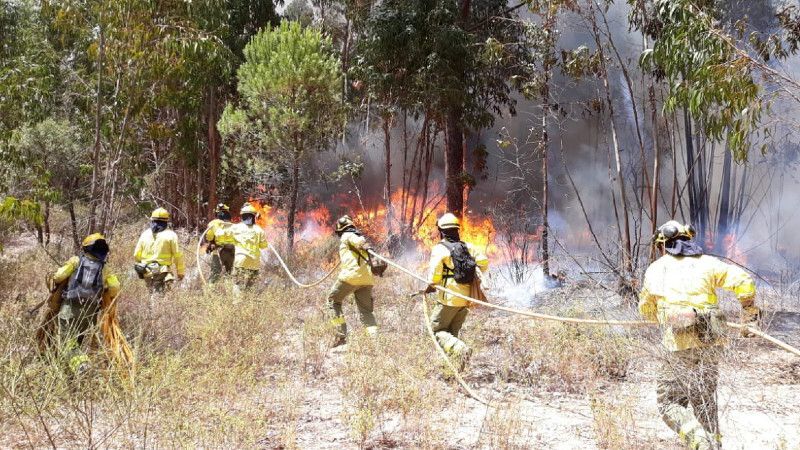 Extinguido el incendio forestal originado en un paraje de Valverde del Camino