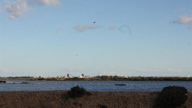 La Fiscalía denuncia a dos personas sorprendidas en Marismas del Odiel por presunto expolio arqueológico