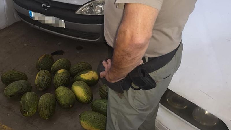 Detenido tras robar 100 kilos de melones