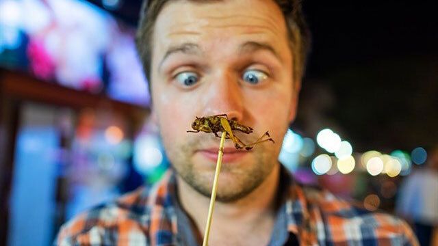 Razones (a favor y en contra) de comer insectos