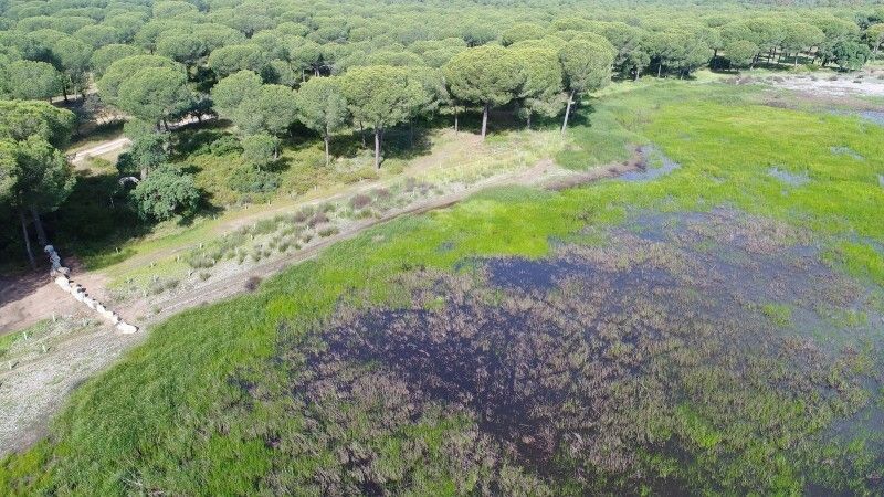 Piden dos años de prisión para los siete acusados por las obras ilegales en el Palacio de Doñana