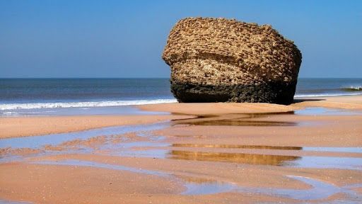 Operativo especial en Matalascañas y El Rocío para vigilar la celebración de barbacoas y botellones