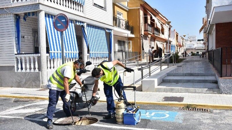Plan de choque para el control de ratas y cucarachas en Punta Umbría y en El Portil