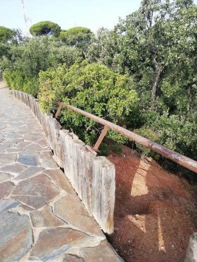 'Andalucía por sí' denuncia el estado de 'abandono institucional' del Parque Moret