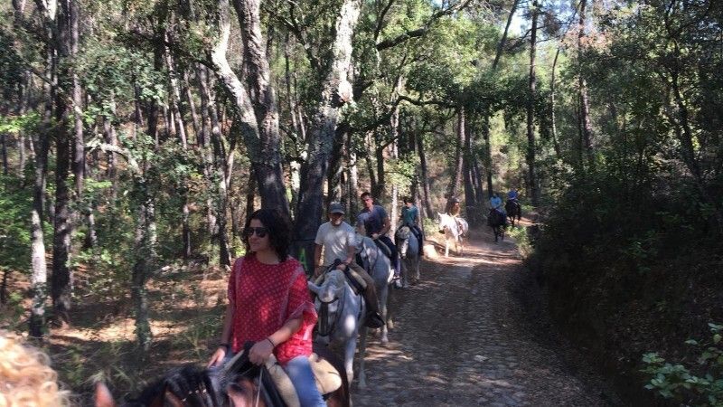 El grupo socialista de Diputación pide a la Junta un plan especial de apoyo al turismo de interior