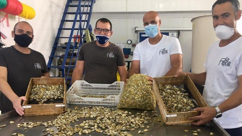La coquina de Huelva aspira a ser Denominación de Origen