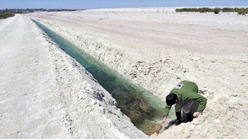 La Asociación Mesa de la Ría denuncia la 'dejación' del Ministerio con respecto a la DIA de la restauración de los fosfoyesos