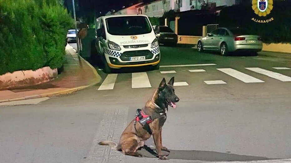 Intervienen diversos objetos peligrosos y sustancias estupefacientes en controles de seguridad en Aljaraque