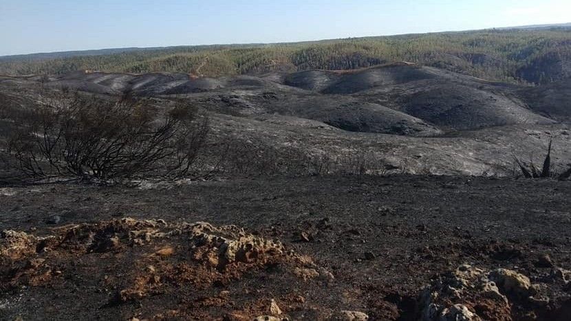 El Infoca da por controlado el incendio de Villarrasa y eleva a 870 el número de hectáreas afectadas