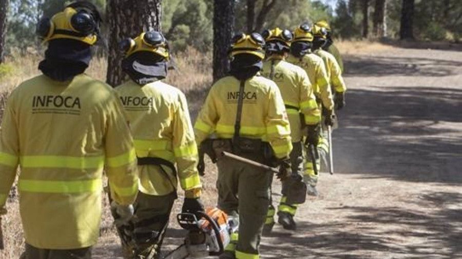 Extinguen el incendio declarado en un paraje de Niebla este lunes