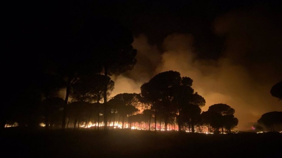 Estiman en 1.100 las hectáreas quemadas en el incendio de Almonte y 600 en el de Bonares