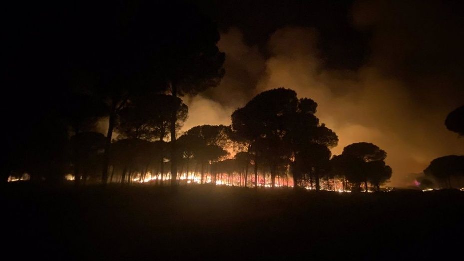 Las previsiones ante el fuego en Almonte son optimistas, aunque a expensas de 'cualquier cambio meteorológico'