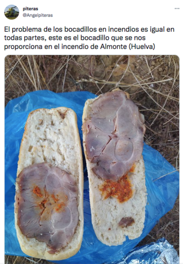 El runrún: Bocadillos lamentables para los bomberos del Infoca
