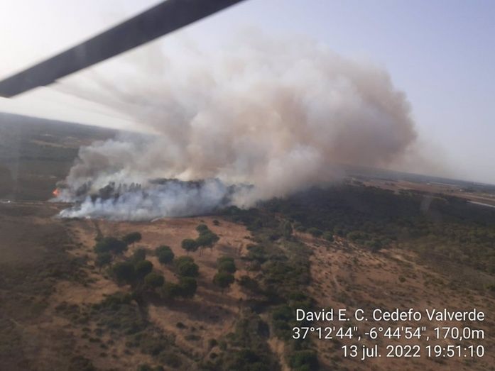 El Infoca trabaja con nueve medios aéreos para extinguir un incendio forestal en Lucena del Puerto