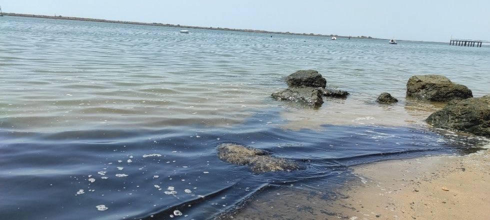 Extraños lodos en la playa de Mazagón