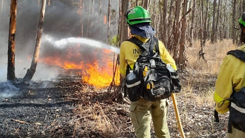 Extinguidos los incendios forestales de Bonares y Almonte