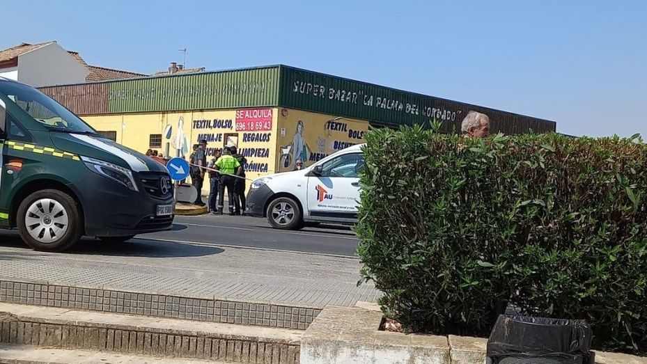 Atropello mortal en una carretera de La Palma del Condado