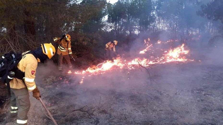 Más de cien efectivos y 11 aeronaves trabajan en los incendios de Almonte y Bonares, aún sin control