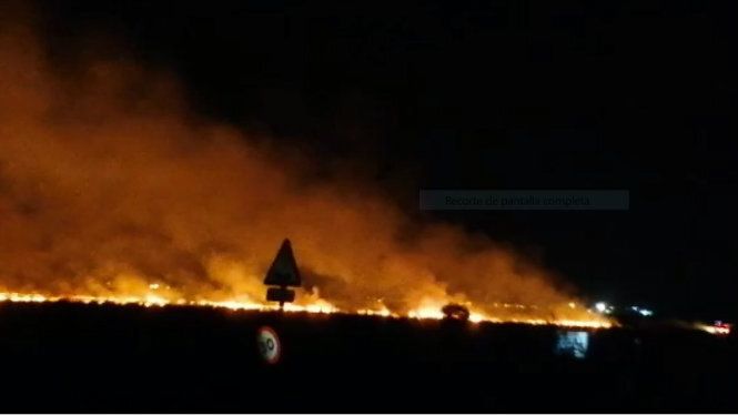 Ecologistas en Acción denuncia la impunidad de los incendios en Entremuros y pide esclarecer los delitos