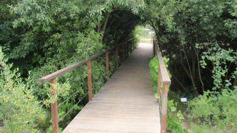 El jardín botánico Dunas del Odiel acoge la actividad 'Poesía a la Naturaleza'