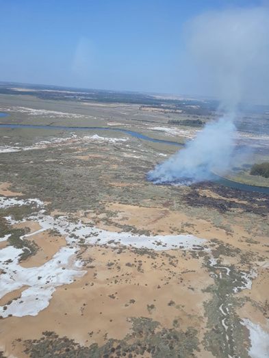 Se reactiva por el flanco oeste el incendio en la Marismas del Burro