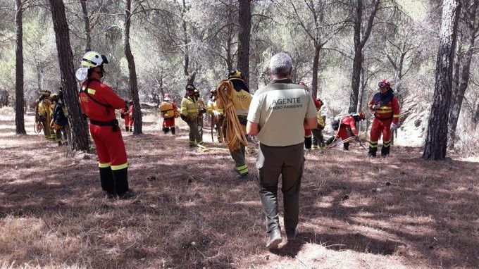 Estabilizado el incendio forestal en un paraje de Valverde