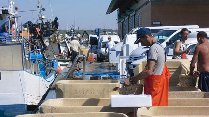 La Junta instalará depuradoras de moluscos en los puertos de Isla Cristina y Punta Umbría