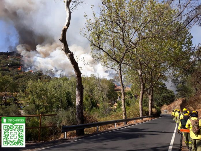 Medio centenar de bomberos forestales trabajan para sofocar un incendio declarado en Almonaster la Real