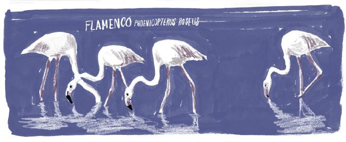 'Destino frontera', un cómic para promocionar la Raya Ibérica