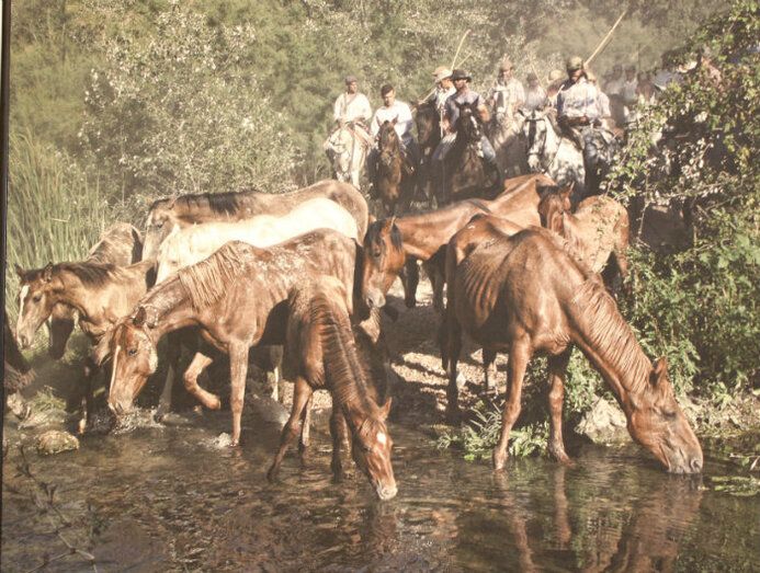 Diputación lleva la exposición de carteles del Festival de Moguer a Zalamea y la 'Saca de Yeguas' a Almonaster