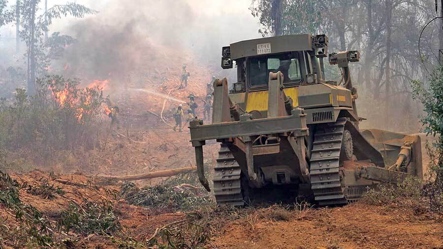 El fuego sigue avanzando hacia el sur y el incendio ya supera las 10.000 hectáreas