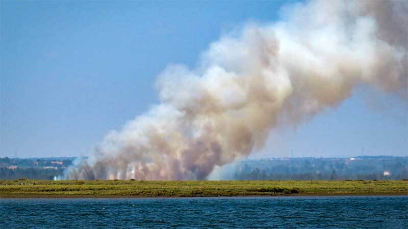 Cuatro aeronaves se suman a las tareas de extinción del incendio de Gibraleón