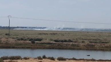 Controlado un incendio forestal en el paraje Marismas del Burro