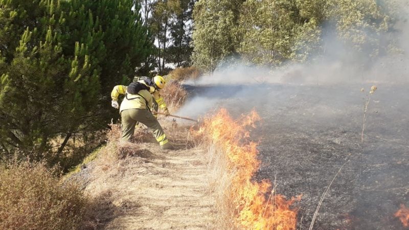 Reabierta al tráfico la carretera A-484 tras estabilizarse el incendio de Rociana