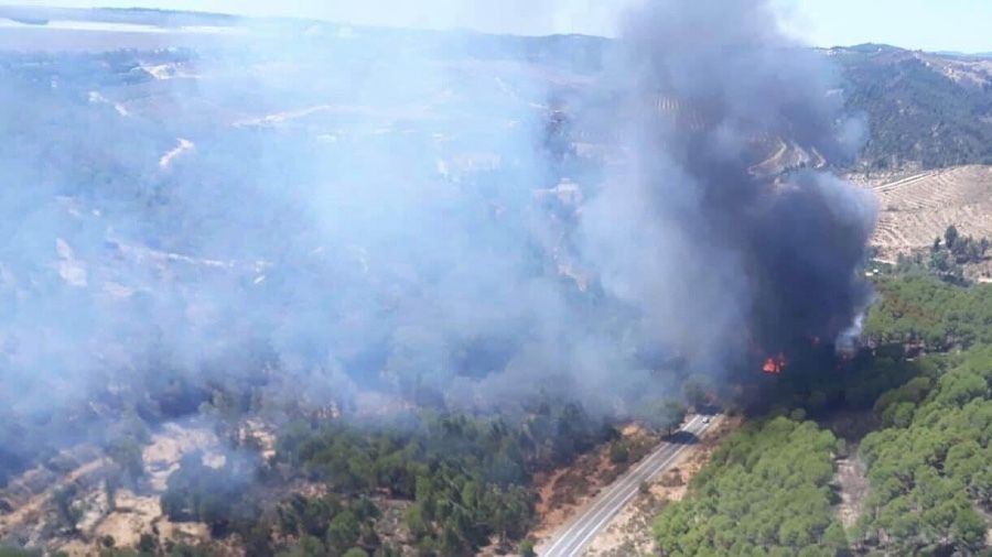 Más de cien efectivos y 19 aeronaves luchan contra el incendio de Almonaster
