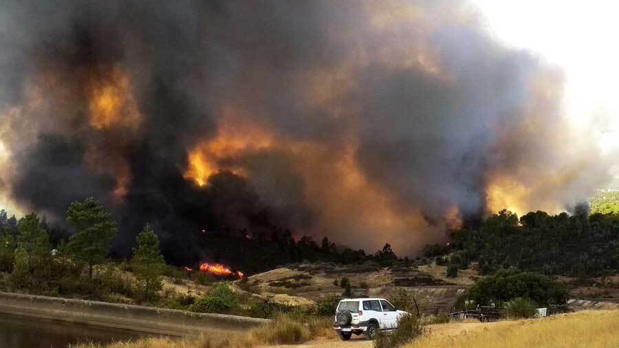 El perímetro del incendio crece hasta las 9.000 hectáreas