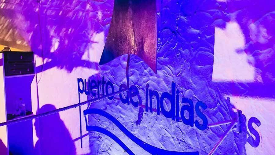 Cierra la discoteca Puerto de Indias del Terrón al contagiarse de Covid su relaciones públicas