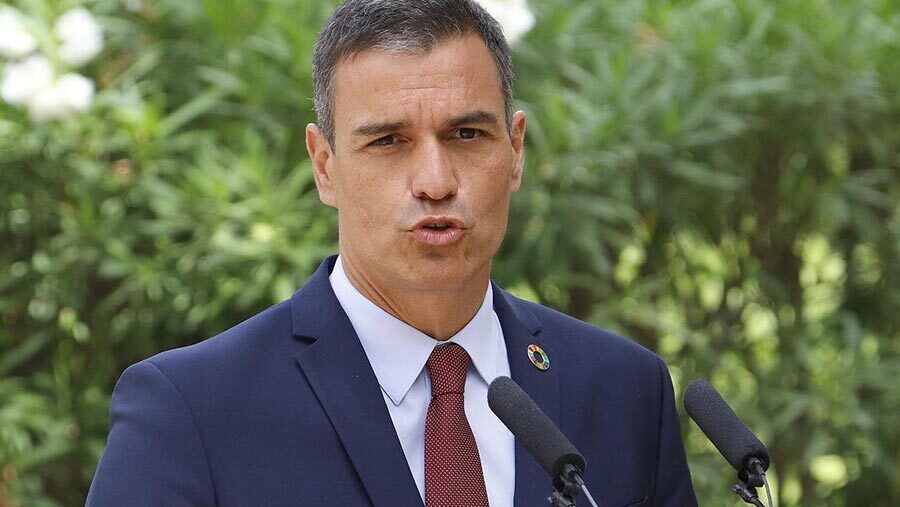 Pedro Sánchez expresa su 'desolación' por el incendio en Almonaster y traslada su 'cariño' a las familias afectadas