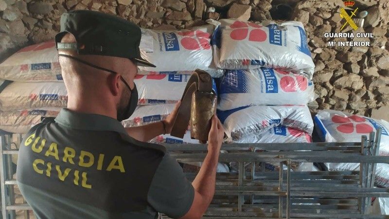 Detienen a cinco personas por robar sacos de pienso y material ovino en una finca de La Nava