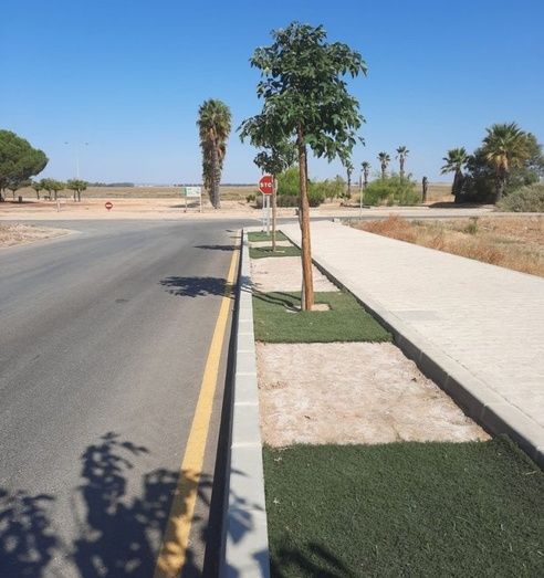 El Ayuntamiento de Moguer denuncia 'actos vandálicos' en la bajada de la Ribera