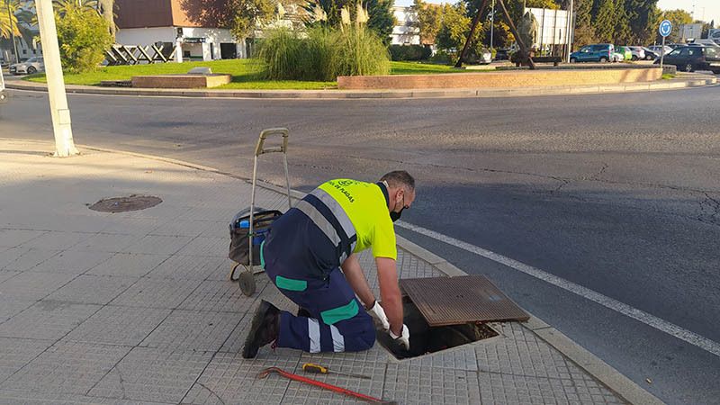 El Ayuntamiento desratizará los distintos barrios de la capital, poniendo el foco en aquellos donde se hayan detectado incidencias