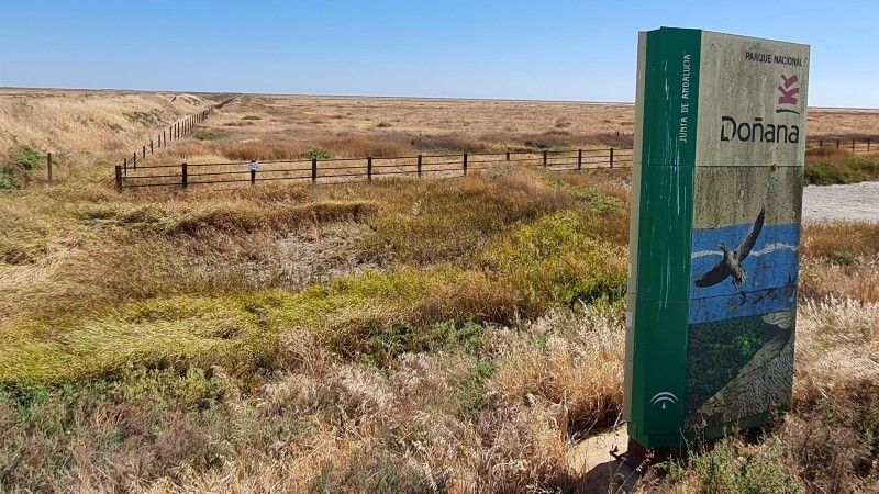 WWF dice de que el borrador del Plan Hidrológico del Guadalquivir 2021-2027 'no asegura la conservación de Doñana'