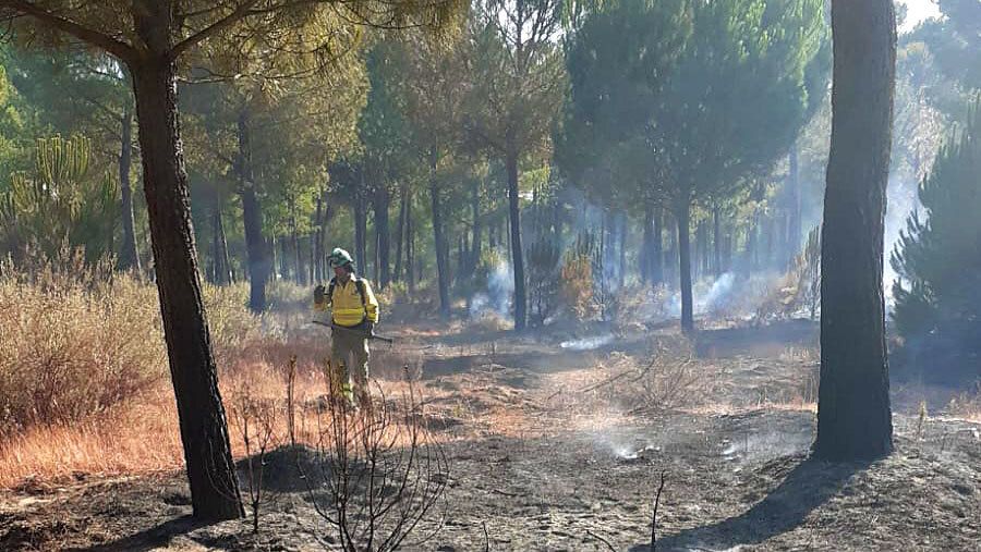 El Infoca da por controlados o extinguidos los incendios declarados este lunes