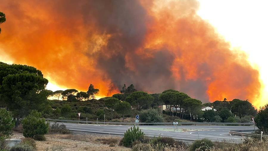Desactivado el nivel 1 de Plan de Emergencias andaluz por el incendio que puso en alerta a Bonares