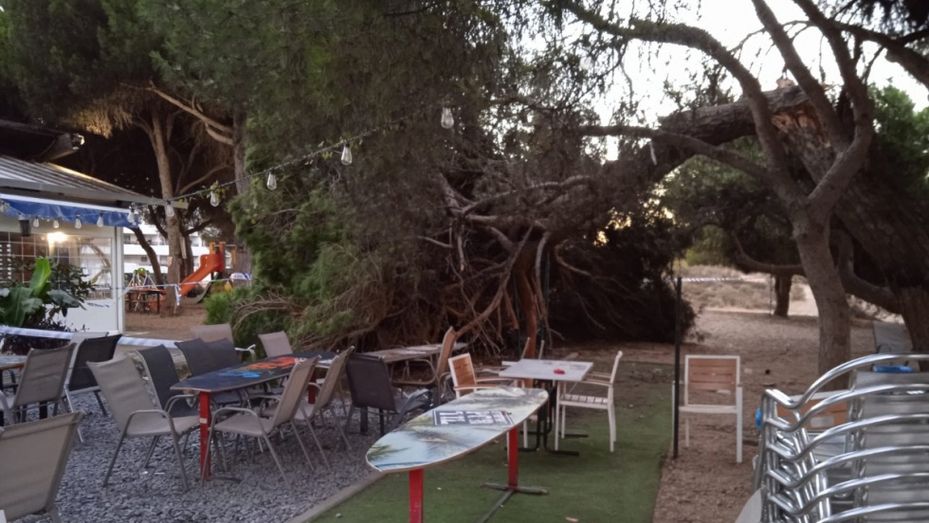 El Surf Bar reabrirá este jueves tras la revisión de toda la terraza