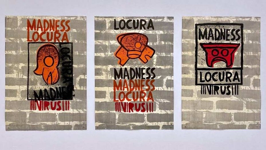 Doce artistas gráficos de México, Portugal y Argentina dan color al Covid en la Sala de la Provincia