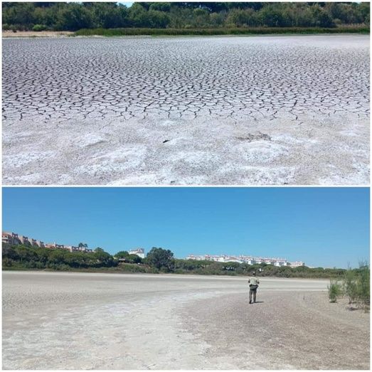 El runrún: El estado de la laguna del Portil no es alarmante