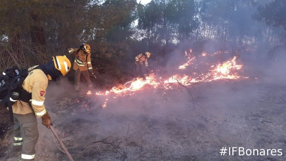 Declaran zona catastrófica los terrenos afectados en el incendio de Bonares, Almonte y Rociana