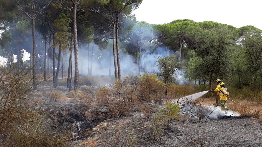Extinguido un incendio forestal declarado en Almonte