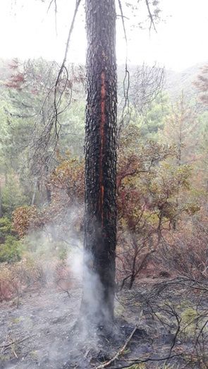 El Infoca da por extinguido el incendio de Almonaster, provocado por un rayo